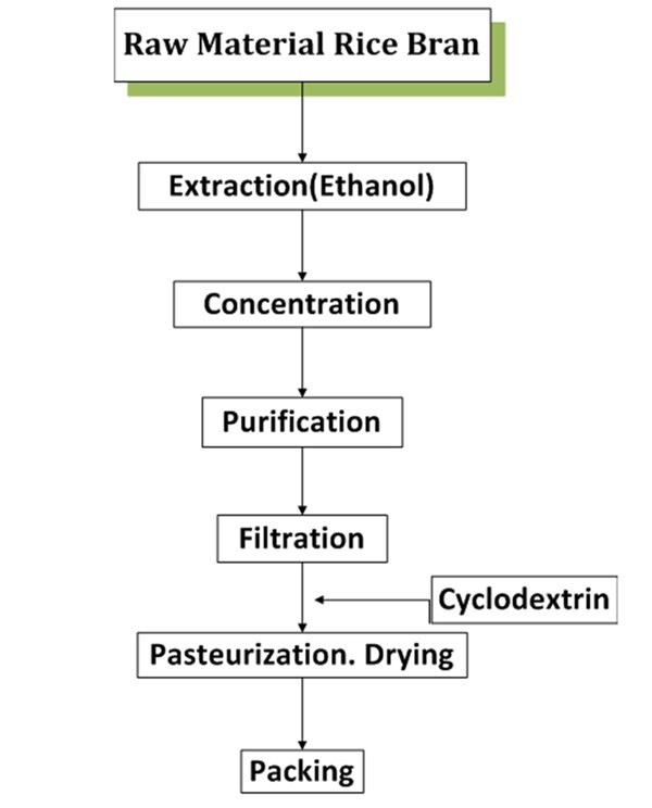 Production Flowchart-Rice Bran Ceramide