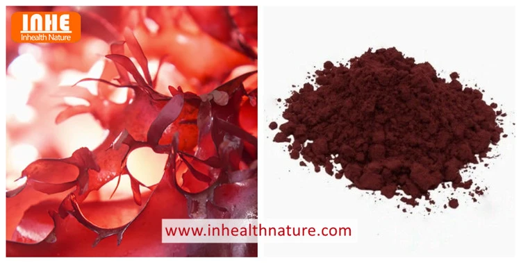 Haematococcus Pluvialis and Water-soluble Astaxanthin Powder