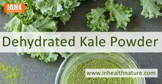 Dehydrated Kale Plant Powder