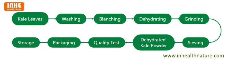 Dehydrated Kale Powder Flow Chart