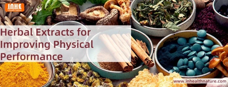 Herbal Extracts for Improving Physical Performance