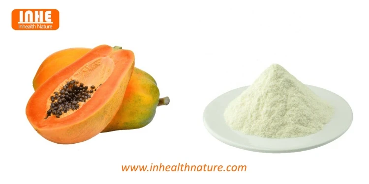 Papaya and Papain Enzyme Powder