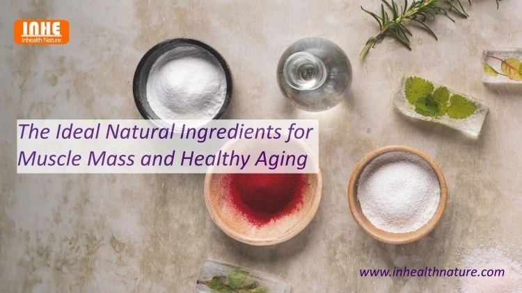 The Ideal Natural Ingredients for Muscle Mass and Healthy Aging