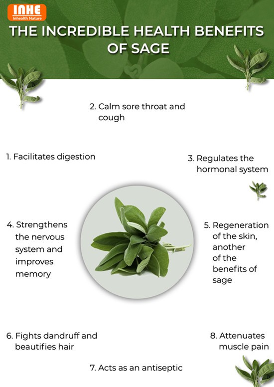 Sage Leaf Extract Benefits