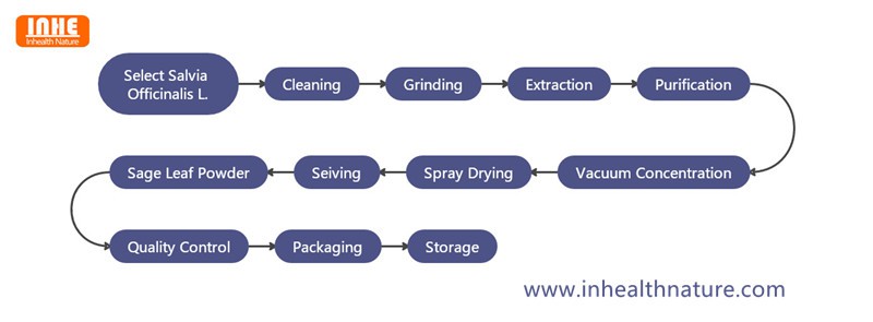 Sage Leaf Extract Flow Chart